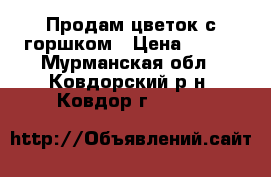 Продам цветок с горшком › Цена ­ 150 - Мурманская обл., Ковдорский р-н, Ковдор г.  »    